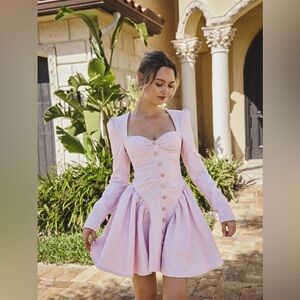 Elegant Pink tweed long sleeve drop waist mini dress